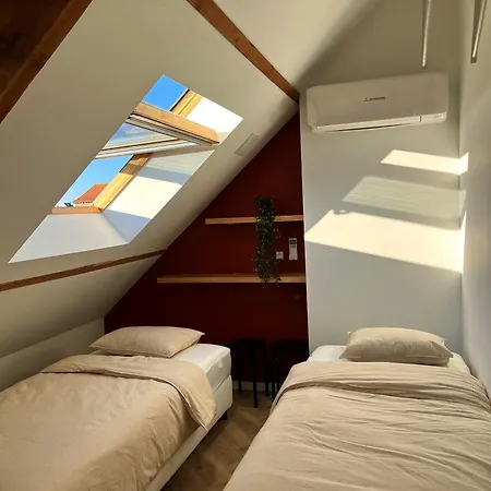 Zeevonk Holiday home *